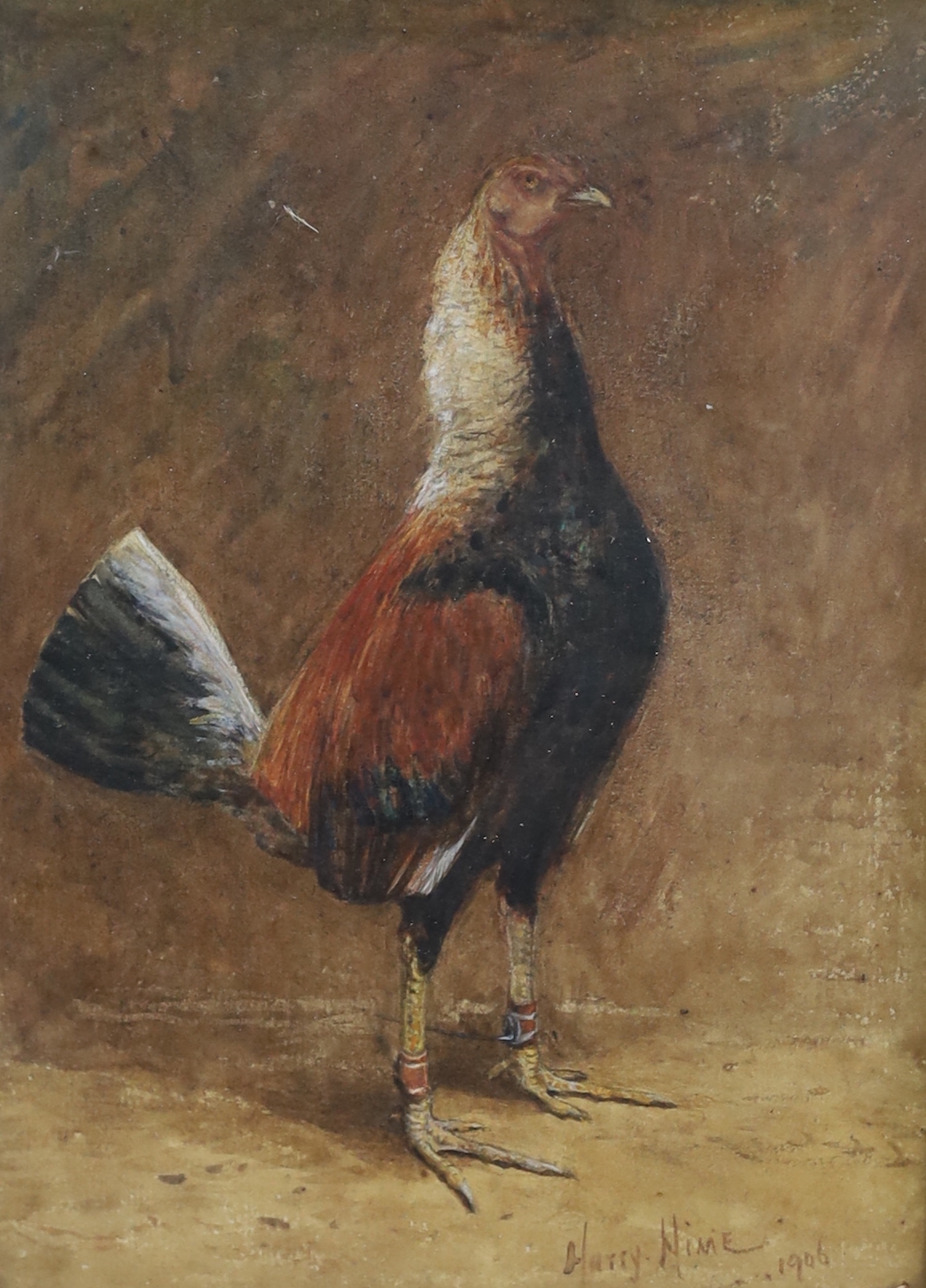 Harry T. Hine (British, 1845-1941), Fighting cocks, watercolours, a near pair, 23 x 17cm and 24.5 x 17cm